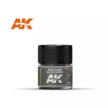 RAF Темно-серый шифер, Paint - Real Color (AK-Interactive)