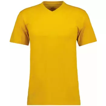 Ragman футболка, цвет Mais-055