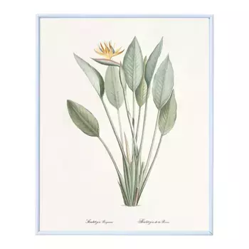 Райская птица Распечатать Dybahl + Frame - El Corte Ingls, белый
