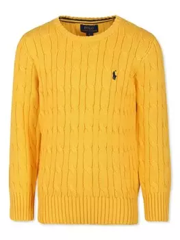 Ralph Lauren Kids джемпер фактурной вязки с вышитым логотипом, желтый