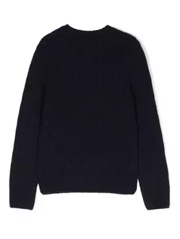 Ralph Lauren Kids джемпер Polo Pony фактурной вязки, синий