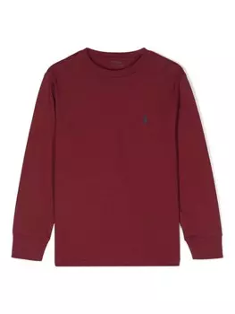 Ralph Lauren Kids футболка с вышивкой Polo Pony, красный