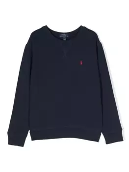 Ralph Lauren толстовка с логотипом Polo Pony, синий