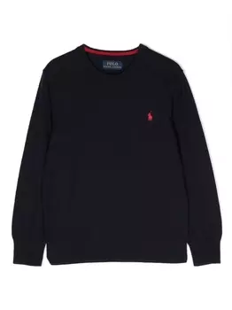 Ralph Lauren толстовка с вышитым логотипом, синий