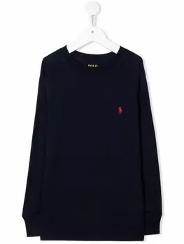 Ralph Lauren толстовка с вышивкой Polo Pony, синий
