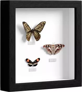 Рамка для фотографий EUGAD Marcin, черный