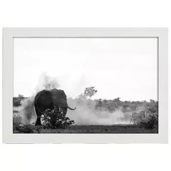 Рамка для фотографий LegendArte Das Zebra und der Elefant, белый