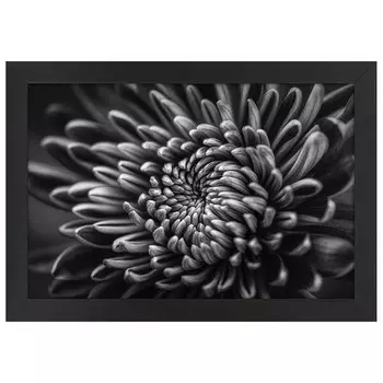 Рамка для фотографий LegendArte Fleischliche Bltenbltter, черный