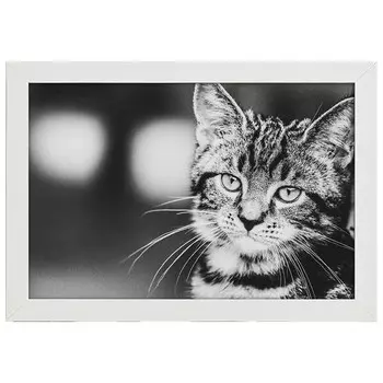 Рамка для фотографий LegendArte Poster Feliner Ausdruck, белый