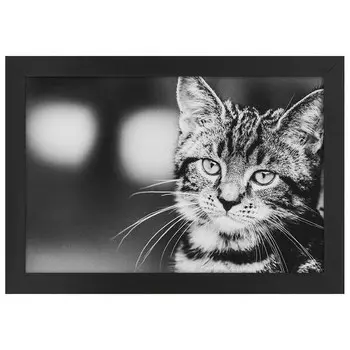 Рамка для фотографий LegendArte Poster Feliner Ausdruck, черный