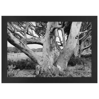 Рамка для фотографий LegendArte Poster Im Park, черный