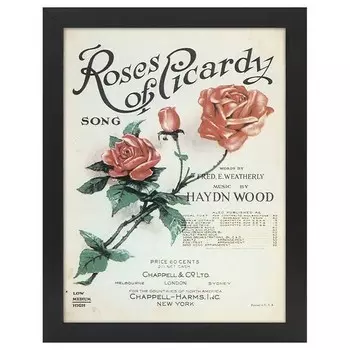 Рамка для фотографий LegendArte Poster Roses of Picardy, черный