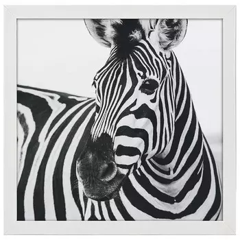 Рамка для фотографий LegendArte Poster Schnauze des Zebras, белый