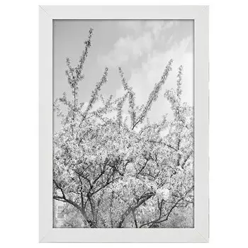 Рамка для фотографий LegendArte Poster Wei blhende Zweige, белый