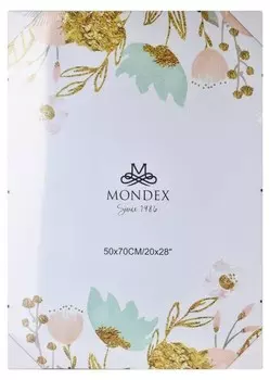 Рамка для фотографий Mondex ADI цвет durchscheinend