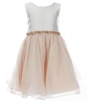 Расклешенное платье с лифом и сетчатой юбкой Rare Editions для маленьких девочек 2T-6X без рукавов с цветными блоками и лифом из микадо, бежевый
