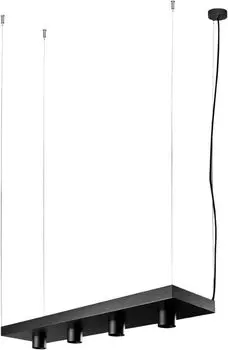 Растение Черный Nowodvorski