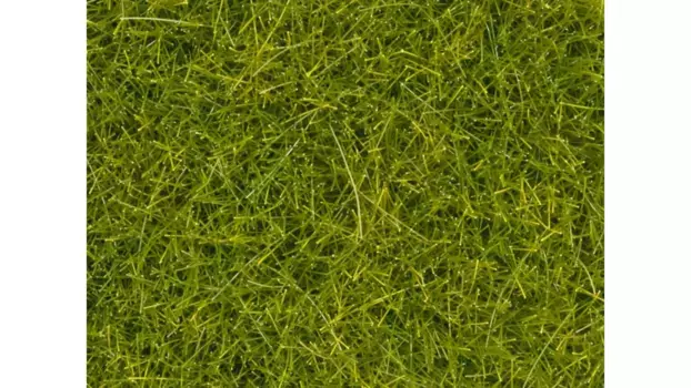 Разбросанная трава Noch