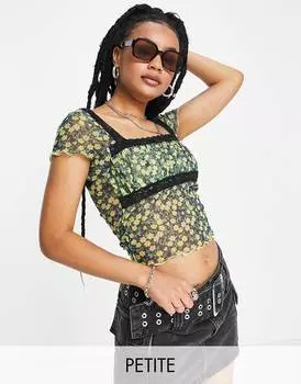 Разноцветная сетчатая футболка с кружевной отделкой Topshop Petite