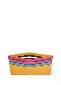 Разноцветная женская визитница Case Look