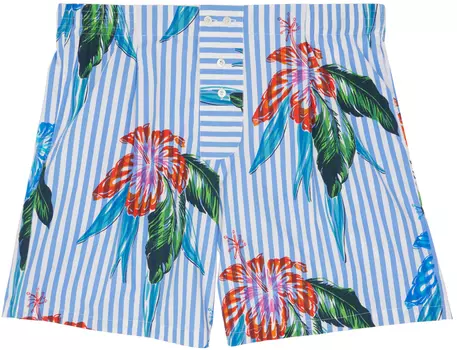 Разноцветные полосатые боксеры Sbline