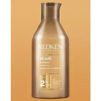 Redken Мягкий шампунь для сухих ломких волос 300 мл