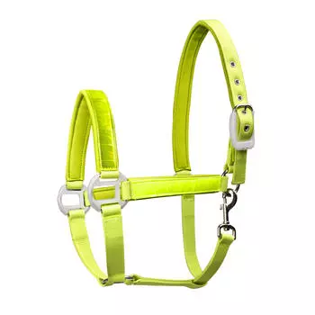 Рефлекторный недоуздок, неоновый WALDHAUSEN