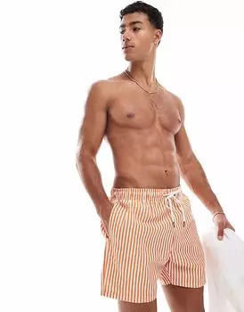 Реггита Loras плавки в полоску цвета целозия оранж