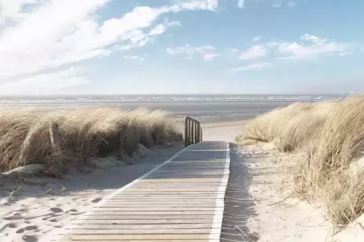 Рейндерс! Деко-панно "Дюны Северного моря" Reinders! 90х60 см, цвет B/H: 90 cm x 60 cm