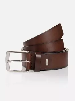 Ремень Monti TUSTON, коричневый