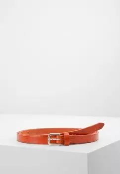 Ремень Vanzetti