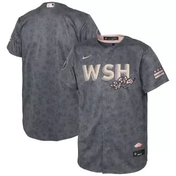 Реплика молодежного джерси Nike Grey Washington Nationals 2022 City Connect Nike