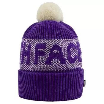 Ретро-шапка-бини THE NORTH FACE