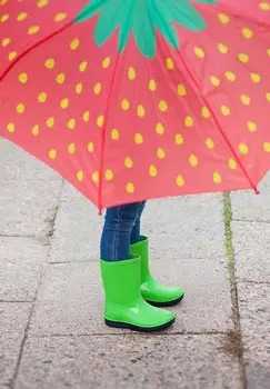 Резиновые сапоги BASIC Beck, цвет apfel