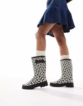 Резиновые сапоги Regatta Orla Kiely Quarter в черном цвете