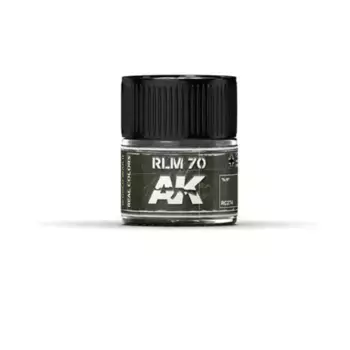 РЛМ 70, Paint - Real Color (AK-Interactive)