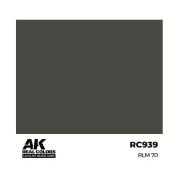 РЛМ 70, Paint - Real Color, Dropper Bottles (AK-Interactive)