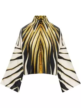 Roberto Cavalli шелковая рубашка с абстрактным принтом, золотистый