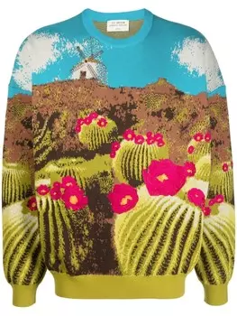 Roberto Collina джемпер с графичным принтом и круглым вырезом, зеленый