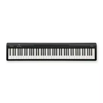 Roland FP-10 88-клавишное цифровое портативное пианино, черное FP-10 88-Key Digital Portable Piano