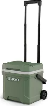 Роликовый холодильник Ecocool Latitude Igloo, зеленый
