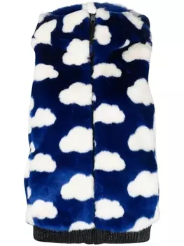 Rossignol двусторонний жилет с принтом, синий