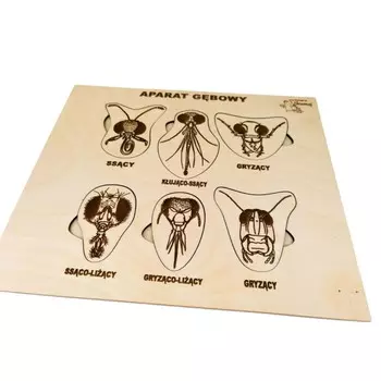 Ротовой аппарат насекомых, деревянный пазл, выдвижные элементы с подписями. Inna marka