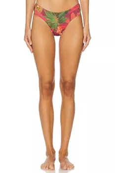 Роза бикини-низ Onia, мультиколор