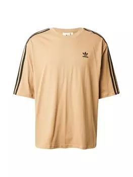 Рубашка ADIDAS ORIGINALS Adicolor, цвет Cappuccino
