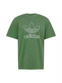 Рубашка ADIDAS ORIGINALS Adicolor Outline Trefoil, светло-зеленый