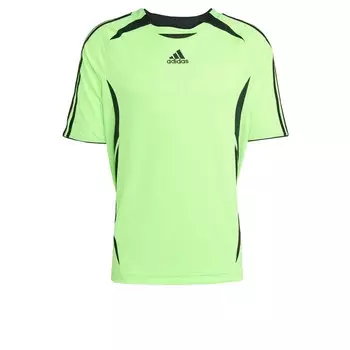 Рубашка ADIDAS ORIGINALS Teamgeist Adicolor, светло-зеленый
