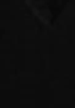 Рубашка CROP TRASPARENTE Terranova, черный