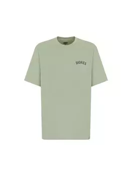 Рубашка DICKIES Snake, цвет Olive/Light green