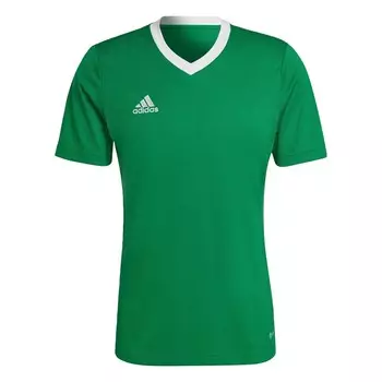 Рубашка для выступлений ADIDAS PERFORMANCE Entrada 22, цвет Grass green